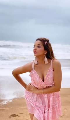 PHOTO : मोनालिसाचं सौंदर्य अन् हॉट अदा; भोजपुरी इंडस्ट्रीत अभिनेत्रीनं केलीय कमाल