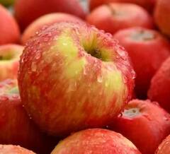 इंसानों के इतिहास जितना ही पुरानी है Apple की हिस्ट्री, बड़ी इंट्रेस्टिंग है कहानी