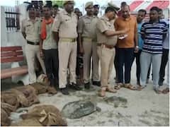 Ghazipur: ट्रेन के जरिए 626 कछुओं की तस्करी करते पकड़ी गईं दो महिलाएं, पुलिस ने ऐसे किया गिरफ्तार