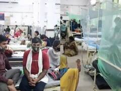 जबलपुर में पैर पसार रहा है डेंगू, मलेरिया और चुकनगुनिया, डेढ़ माह में मिले 45 मरीज