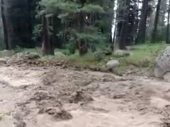 देहरादून के रायपुर में देर रात फटा बादल, गांव में फंसे लोगों का SDRF ने किया रेस्क्यू