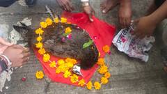 Indore: इंदौर में राष्ट्रीय पक्षी मोर की करंट लगने से हुई मौत, हिंदू रीति रिवाज के साथ दी गई श्रद्धांजलि, सामने आई तस्वीरें