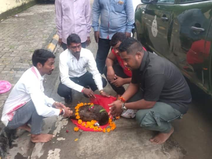 इंदौर में राष्ट्रीय पक्षी मोर को हिंदू रीति रिवाज के साथ श्रद्धांजलि दी गई. सामाजिक कार्यकर्ताओं ने विधि विधान से मोर को नगर निगम के हवाले किया. निगम की टीम मृत मोर को रालामंडल लेकर हुई रवाना हो गई.