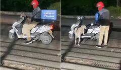 Viral Video: ਆਰਡਰ ਪਹੁੰਚਾਣ ਲਈ ਕੁੱਤੇ ਨੂੰ ਸਕੂਟਰ 'ਤੇ ਹਮੇਸ਼ਾ ਨਾਲ ਲੈ ਕੇ ਜਾਂਦਾ ਹੈ ਇਹ ਡੋਮਿਨੋਜ਼ ਦਾ ਡਿਲੀਵਰੀ ਬੁਆਏ, ਪਿਆਰੀ ਵੀਡੀਓ ਵਾਇਰਲ