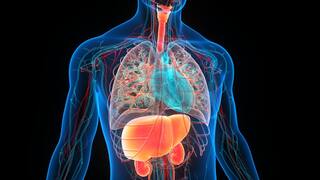 Health Tips : हृदय आणि यकृतासाठी फायदेशीर मनुक्याचं पाणी, कोलेस्ट्रॉलही राहील नियंत्रणात, वाचा फायदे