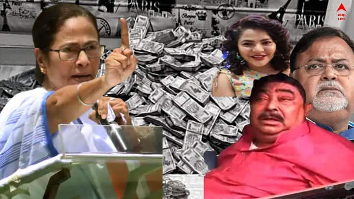 পার্থ গ্রেফতারের পর মমতা বন্দ্য়োপাধ্যায় বলেন, ‘দুর্নীতিকে সমর্থন করা নেশাও নয় পেশাও নয়, আমি কোনও অন্যায়কে সমর্থন করি না।   সত্যি যদি কেউ দোষী প্রমাণিত হয়, যাবজ্জীবন কারাদণ্ড হোক’। অনুব্রত গ্রেফতারের পর মুখ্যমন্ত্রী বলেছিলেন, 'অনুব্রতকে গ্রেফতার করলেন কেন ? কী করেছিল কেষ্ট ? কেষ্টকে জেলে আটকালে কী হবে ? ওদের এজেন্সির কিছু লোক রয়েছে, তাঁদের টাকা দিয়ে পোষে। মাঝরাতে কেন সিবিআই বাড়িতে ঢুকছে ? কেষ্টর বাড়িতে তাণ্ডব চালিয়েছে সিবিআই।'