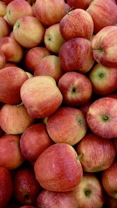 Health Tips : वजन कमी करण्यासाठी सफरचंदाचे आश्चर्यकारक फायदे