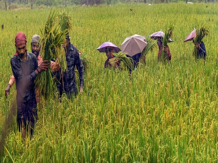 जिन लोगों ने पीएम किसान स्कीम में ई-केवाईसी की प्रक्रिया को पूरा नहीं किया है उन्हें 12 किस्त का लाभ नहीं मिलेगा. इससे पहले भी बिना केवाईसी के 11 किस्त के पैसे भी किसानों के खाते में ट्रांसफर नहीं किए गए हैं.