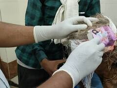 मुरैना में अस्पताल की लापरवाही हुई उजागर, खून रोकने के लिए महिला के सिर पर बांधे कंडोम का रेपर