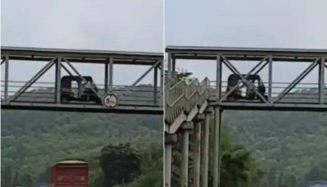 man drives auto rickshaw on foot over bridge to cross highway lanes in Mumbai internet says scene of rohit shetty film Watch: ਆਟੋ ਵਾਲੇ ਨੇ ਫੁੱਟਓਵਰਬ੍ਰਿਜ 'ਤੇ ਚਲਾਇਆ ਰਿਕਸ਼ਾ, ਲੋਕਾਂ ਨੇ ਸੋਚਿਆ ਰੋਹਿਤ ਸ਼ੈੱਟੀ ਦੀ ਫਿਲਮ ਦਾ ਕੋਈ ਸੀਨ ਹੈ!