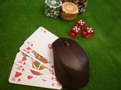 Tamil Nadu Online Gambling Ban: Gamers Body Seeks Safe Harbour For Professionals