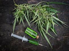 पैदावार बढ़ाने के लिये फसलों को लगायें ऑर्गेनिक वैक्सीन, बिना जोखिम मिलेंगे बेमिसाल फायदे