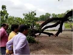 चित्रकूट: स्कूल में योग करते वक्त पेड़ की डाल गिरने से 7 बच्चे घायल, सीएम योगी ने दिए हरसंभव मदद के निर्देश