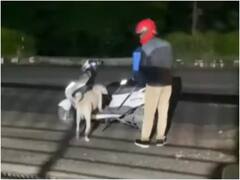 Trending News : हा कुत्रा त्याच्या मालकासह चक्क फूड डिलीव्हरी करतोय? व्हिडीओ पाहून तुम्हीही आश्चर्यचकित व्हाल