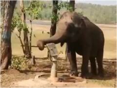हैंडपंप चलाकर पानी पी रहे इस हाथी को देखिए, जल से खिलवाड़ करने वालों को दी बड़ी सीख