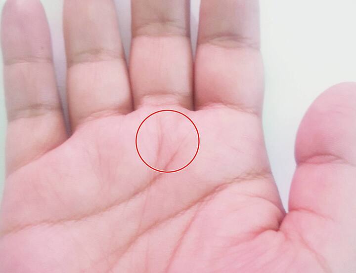 હસ્તરેખાશાસ્ત્ર અનુસાર આપણા શરીરમાં રહેલા દરેક તલનું  પોતાનું મહત્વ હોય છે. પરંતુ શરીર પરના દરેક  તલ  અશુભ નથી હોતા. કેટલાક તલ  શુભ પણ નથી હોતા.  કેટલાક મોલ્સ તમારી કારકિર્દી અને ભવિષ્ય વિશે પણ જણાવે છે. આજે અમે તમને જણાવીશું કે શનિ પર્વત પર તલ હોય તો  તે શું  સૂચવે છે.