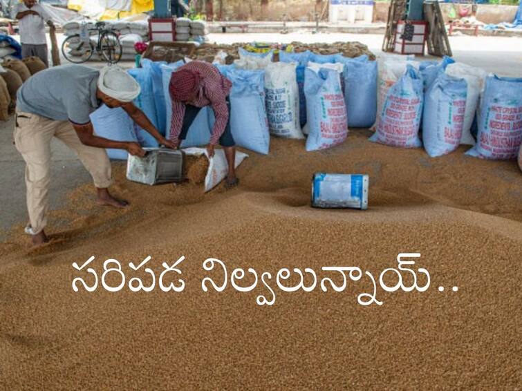 Government Refutes Report Claiming Shortages, Says There's Sufficient Stock of wheat Wheat Production in India: అలాంటి ఆలోచనే లేదు, గోధుమల దిగుమతుల అంశంపై స్పష్టతనిచ్చిన కేంద్రం