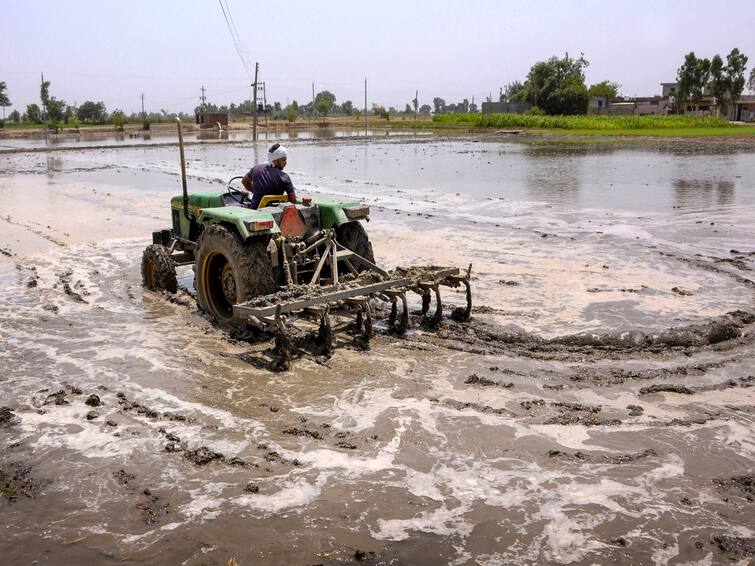 Agriculture News: Know how farmers can increase mileage of tracktor Tractor Mileage: ટ્રેકટર દર કલાકે પીવે છે આટલું ડીઝલ, સારી માઇલેજ ખેડૂતો અપનાવી શકે છે આ રીત