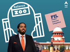 আম্বানিদের চিড়িয়াখানায় নিয়ম লঙ্ঘন! জনস্বার্থ মামলা গ্রহণ করল না সুপ্রিম কোর্ট