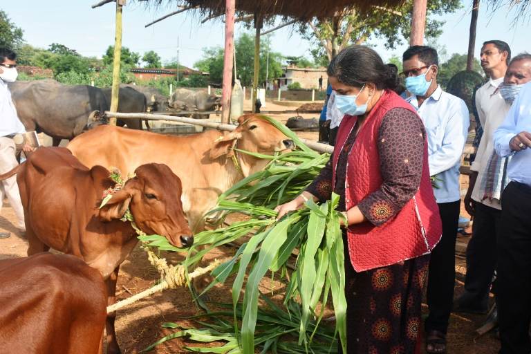 Chhattisgarh News: वरिष्ठ आईएएस अधिकारी डॉ. एम गीता का दिल्ली में इलाज के दौरान निधन, मुख्यमंत्री भूपेश बघेल ने जताया दुख