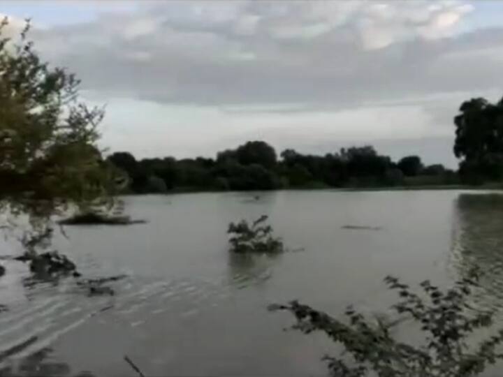 Banda News: बांदा में लगातार बढ़ रहा यमुना, केन और चंद्रावल नदी का जलस्तर, दो दर्जन गांव पानी से घिरे, प्रशासन ने की ये व्यवस्था Banda Uttar Pradesh villages surrounded by flood water rising level of Yamuna Ken Chandrawal river ANN Banda News: बांदा में लगातार बढ़ रहा यमुना, केन और चंद्रावल नदी का जलस्तर, दो दर्जन गांव पानी से घिरे, प्रशासन ने की ये व्यवस्था