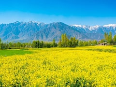 Tour Package: धरती के स्वर्ग 'कश्मीर' की करनी है सैर तो IRCTC के इस स्पेशल टूर के बारे में जरूर जानें!