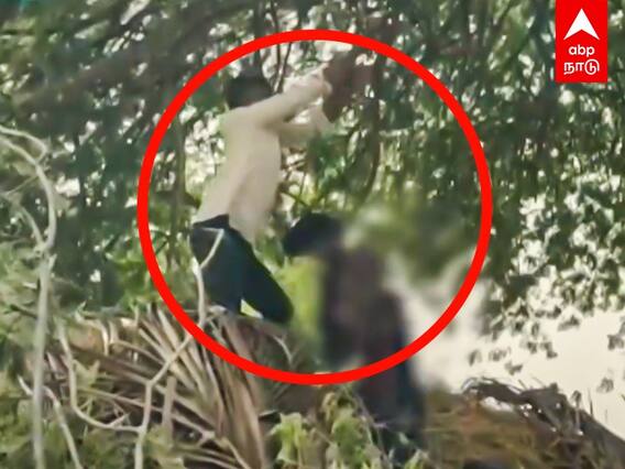 Villupuram : பாலியல் வழக்கில் தந்தை கைது.. விசாரணைக்கு பயந்து மகன் தற்கொலை..