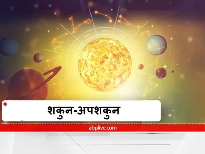 shakun apshakun bad omen meaning of dog crying at night unlucky signs Shakun Apshakun: रात में कुत्ते का रोना माना जाता है अपशकुन, जानिए क्या है इसकी वजह