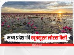 Lotus Valley: मध्य प्रदेश की लोटस वैली नहीं देखी तो क्या देखा, एक यादगार ट्रिप के लिए परफेक्ट जगह
