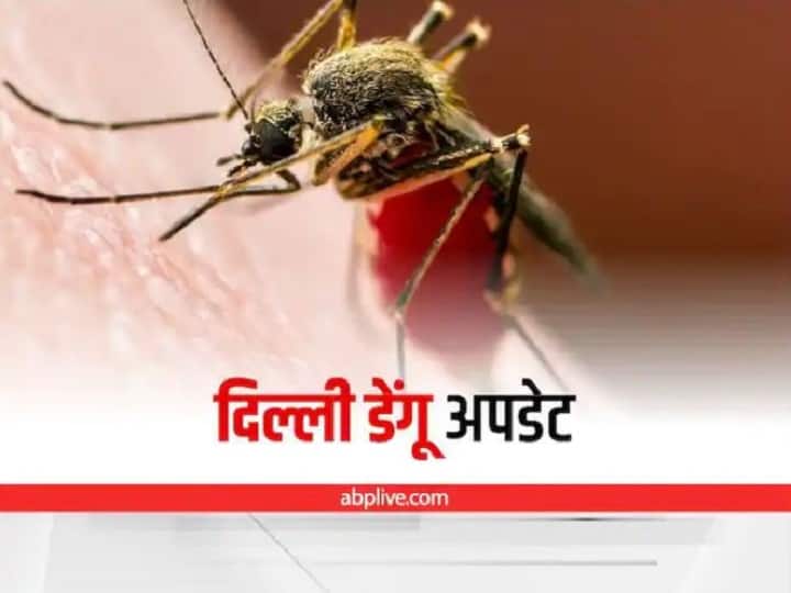 Dengue Cases in Delhi August 2022 20 Cases Found Check Total Dengue Cases Dengue Cases in Delhi: राजधानी दिल्ली में अगस्त में अब तक डेंगू के 20 केस मिले, जानें इस साल का चौंकाने वाला आंकड़ा