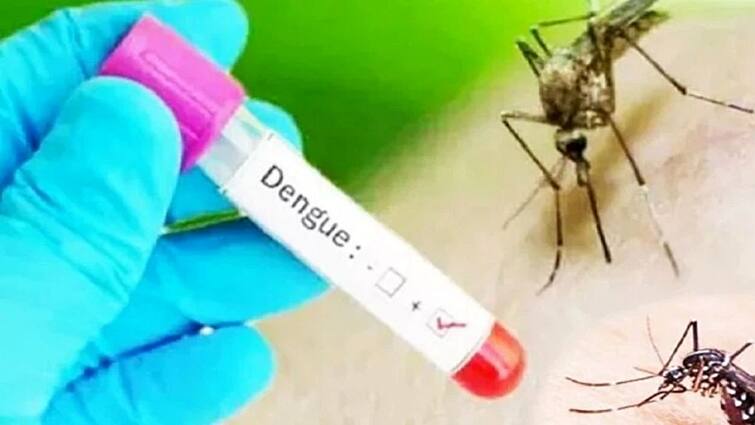 Dengue, Malaria number affected in Kolkata Tension arise Doctors Suggestion dos and donts Dengue Malaria: বর্ষায় বাড়ছে মশার আতঙ্ক, চোখ রাঙাচ্ছে ডেঙ্গি, ম্যালেরিয়া! কী করবেন, কী করবেন না?