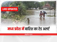 Highlights: मध्यप्रदेश में बारिश ने मचाई आफत, भोपाल में सीएम हाउस के बाहर गिरे पेड़, विदिशा में स्टॉप डेम फूटने से कई खेतों पानी भरा