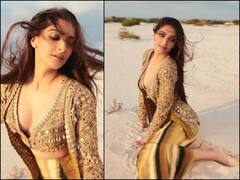 Sonam Kapoor On Acting: क्या मां बनने के बाद भी फिल्मों में करेंगी काम सोनम कपूर? एक्ट्रेस ने दिया ये जवाब