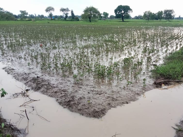 maharashtra News Aurangabad News Heavy rains in 207 circles of Marathwada 405 crore as compensation Marathwada: मराठवाड्यातील 207 मंडळात अतिवृष्टी, नुकसान भरपाईपोटी हवे 405 कोटी