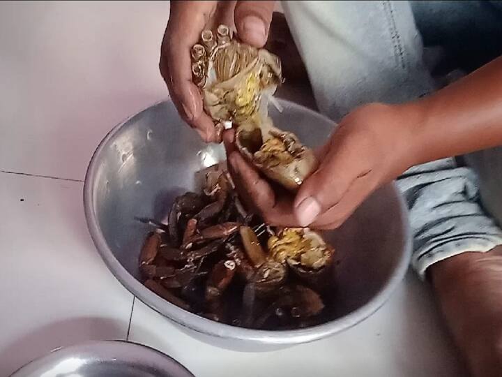 Adilabad People Eat Crabs Curry To Reduce Seasonal Diseases పీతల కూర తింటే టైఫాయిడ్ పరార్- ఇదెక్కడి మందురా బాబు!