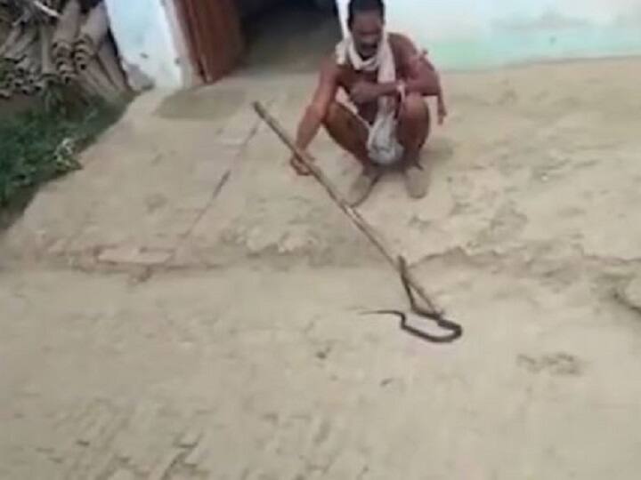 UP Man Bit While Showing Off Snake He Rescued Dies அதிர்ச்சி.. சிவனை போன்று பாம்பை தோளில் போட்டு ஊரை சுற்றி வந்தவருக்கு நேர்ந்த பரிதாபம்..