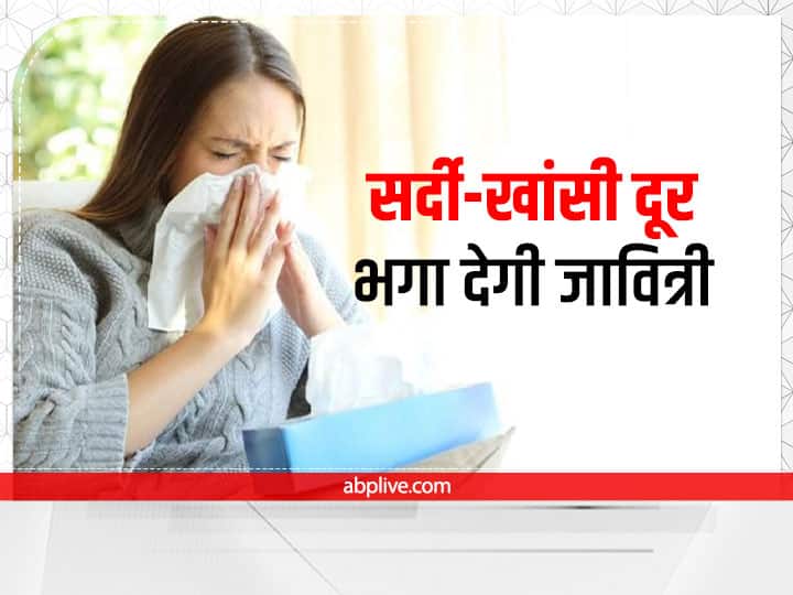 Javitri For Cold Cough And Immunity How To Use Javitri And Jaiphal Javitri Mace Benefits Home Remedies: चुटकियों में दूर हो जाएगी सर्दी-खांसी, इस तरह करें खड़े मसाले में जावित्री का उपयोग
