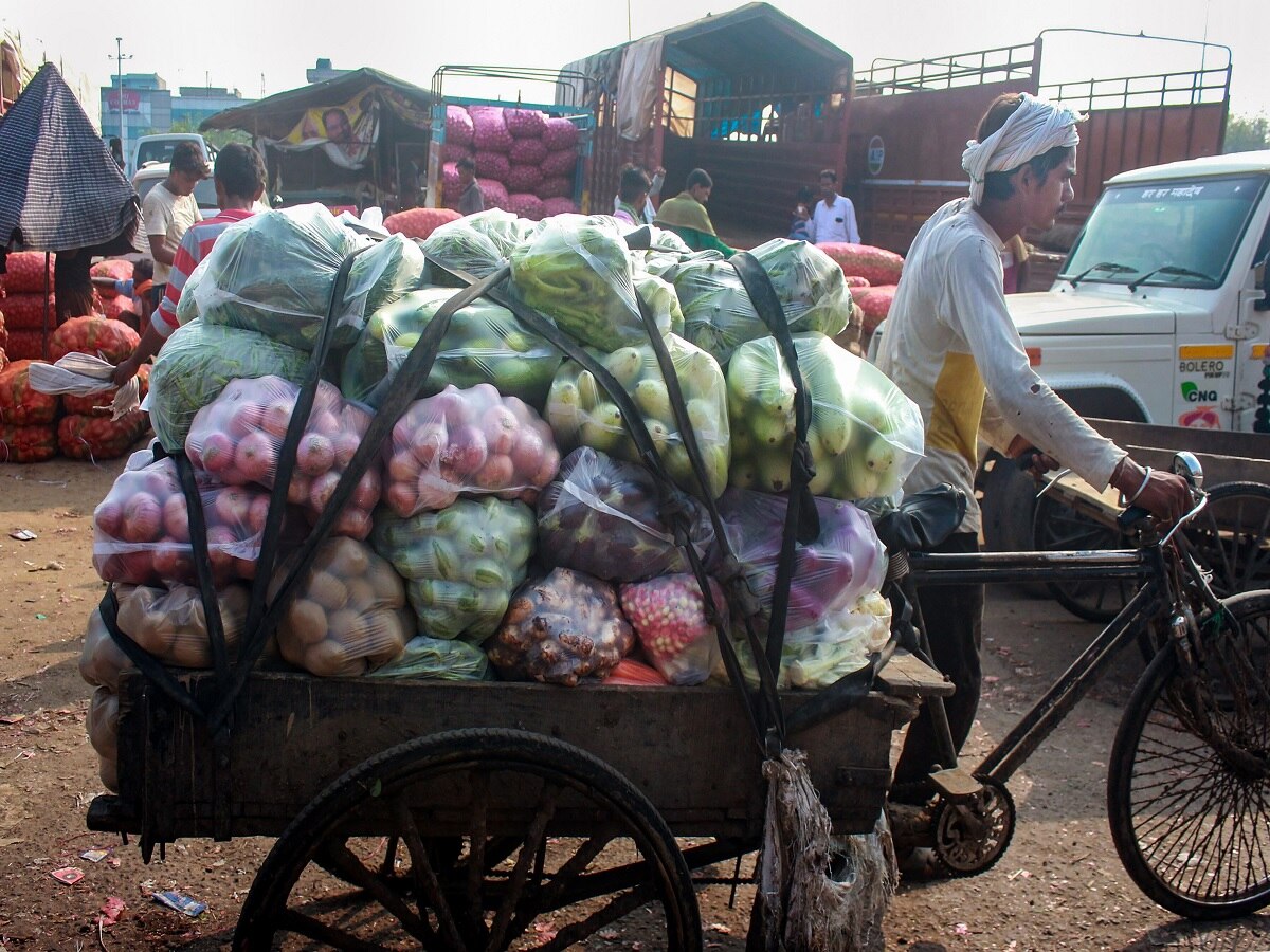 Vegetable Farming: શિયાળામાં વધે છે આ શાકભાજીનો વપરાશ, સારી કમાણી માટે અત્યારે જ કરો વાવણી