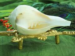 Ganesh Chaturthi 2022: बप्पा के आगमन पर शंख, एकाक्षी नारियल सहित ये 5 चीजें घर लाएं, चमक जाएगी किस्मत