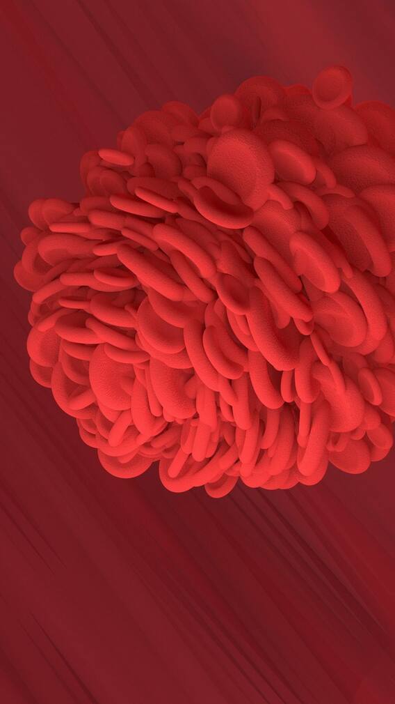 হিমোগ্লোবিন বাড়ছে না? খেয়ে দেখতে পারেন এগুলি