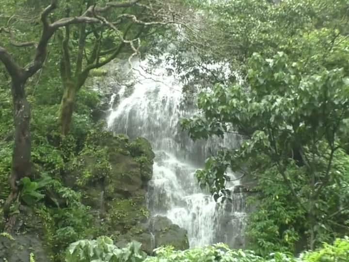 हिरवळीने बहरलेला निसर्ग पाहायचं असेल तर पावसाळ्यात कोकणातील नक्कीच भेट द्या.