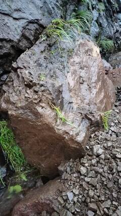 Pune Mumbai Railway Stranded Landslide: पुणे-मुंबई लोहमार्गावर रेल्वे इंजिनवर कोसळली दरड