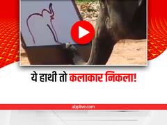 इस हाथी में छिपा है होनहार आर्टिस्ट! सूंड में पकड़ा ब्रश और कुछ ही पलों में बना दी सुंदर पेंटिंग