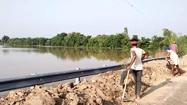 Mand area submerged due to rising water in Beas river, hundreds of acres of crops destroyed, farmers demanded compensation ਬਿਆਸ ਦਰਿਆ 'ਚ ਪਾਣੀ ਵੱਧਣ ਨਾਲ ਮੰਡ ਖੇਤਰ ਡੁੱਬਿਆ, ਸੈਂਕੜੇ ਏਕੜ ਫਸਲ ਤਬਾਹ, ਕਿਸਾਨਾਂ ਨੇ ਮੰਗਿਆਂ ਮੁਆਵਜ਼ਾ