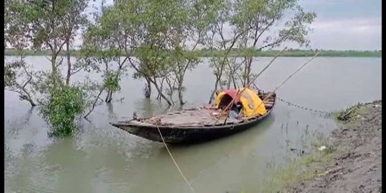 South 24 Parganas News Fisherman missing after tiger attack in Sundarbans Tiger Attack: সুন্দরবনে কাঁকড়া ধরতে গিয়ে ফের বাঘের হানায় নিখোঁজ এক মৎসজীবী