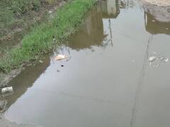 जमशेदपुर: घरों में घुसा बाढ़ का पानी, मलेरिया और डायरिया जैसी बीमारियों का बढ़ा खतरा 