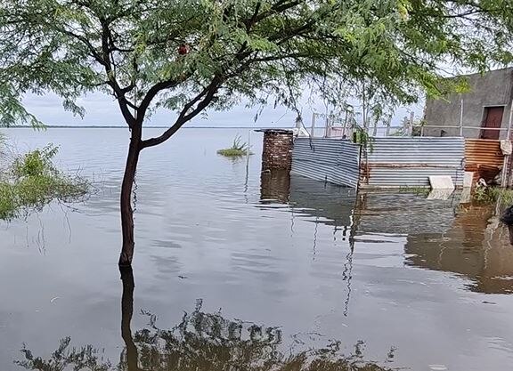 Solapur Rain Updates : सोलापुरातील हिप्परगा तलावाचं पाणी शिरलं घरात, 40 कुटुंबांवर घरं सोडून जाण्याची वेळ