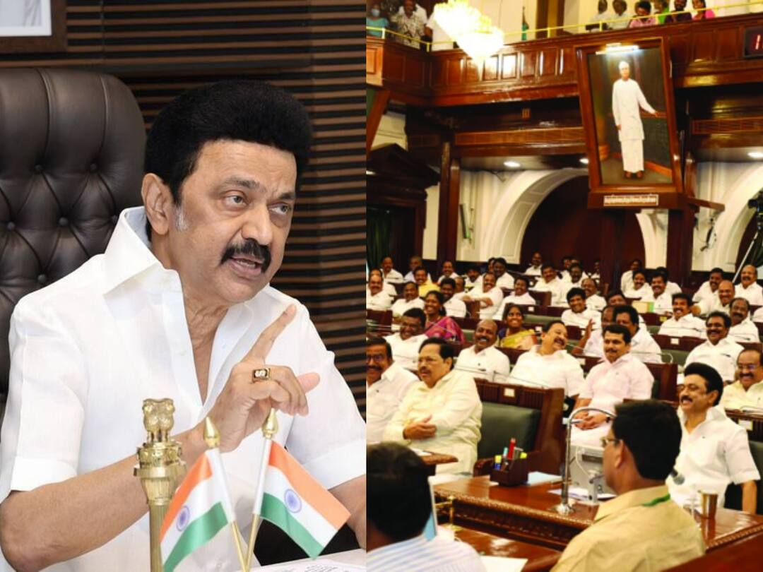 Chief Minister Mk Stalin :10 முக்கிய கோரிக்கைகளை எனக்கு அனுப்புங்க... எம்.எல்.ஏக்களுக்கு கடிதம் எழுதிய முதலமைச்சர்!
