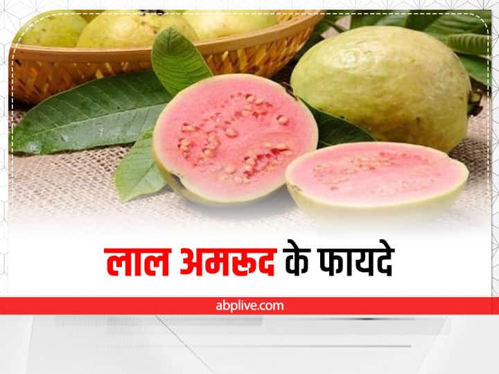 Red Guava Health benefits in Hindi लाल अमरूद में है कई गुण, सेहत की इन समस्याओं को कर सकता है दूर