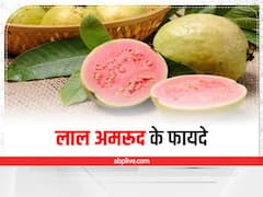 लाल अमरूद में है कई गुण, सेहत की इन समस्याओं को कर सकता है दूर